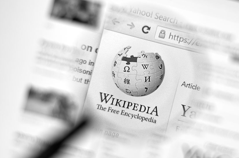 Das Bild zeigt einen Blick auf die Website der Wikipedia – der Ausschnitt mit der Lie ist vergrößert, der Rest unscharf.